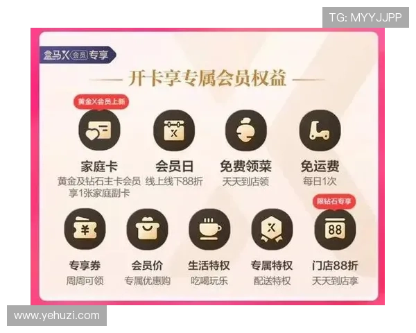 凯发vip会员权益详解让你轻松掌握专属福利与优先服务 凯发vip会员权益详解让你轻松掌握专属福利与优先服务